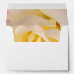 Rose with lace envelope