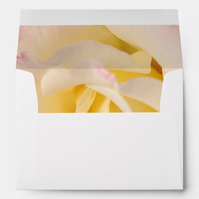 Rose with lace envelope (Back (Bottom))