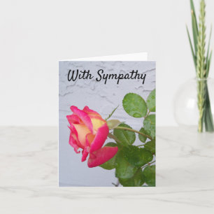 Rose with rain drops on a Sympathy card