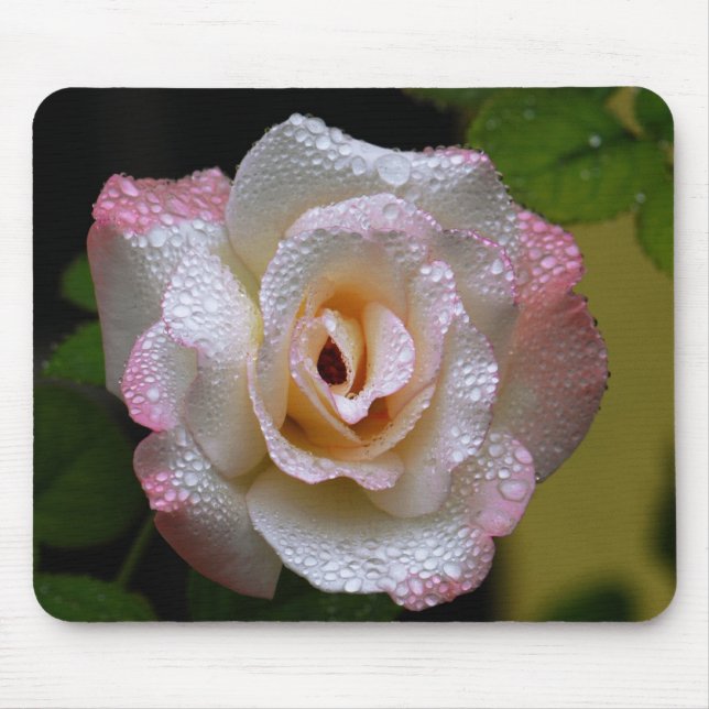 Rose With Raindrops Mouse Pad (Front)