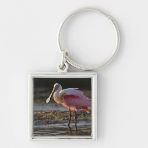Roseate Spoonbill, Ajaia ajaja, Ding Darling Key Ring