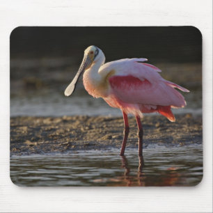 Roseate Spoonbill, Ajaia ajaja, Ding Darling Mouse Pad