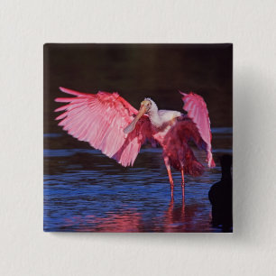 Roseate Spoonbill (Ajaia ajaja) with Cormorant 15 Cm Square Badge