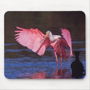 Roseate Spoonbill (Ajaia ajaja) with Cormorant Mouse Pad