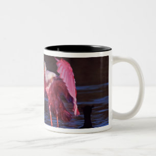 Roseate Spoonbill (Ajaia ajaja) with Cormorant Two-Tone Coffee Mug