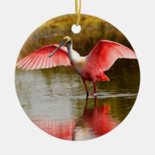 roseate spoonbill and reflection ceramic tree decoration