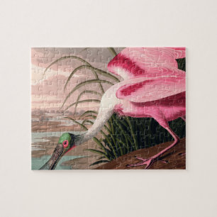 Roseate Spoonbill Audubon Bird Wildlife Jigsaw Puzzle