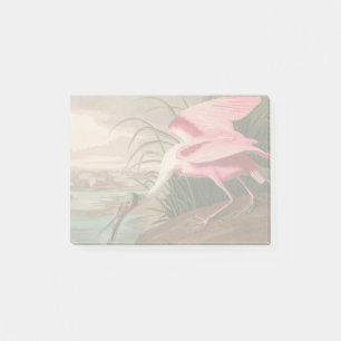 Roseate Spoonbill Audubon Bird Wildlife Post-it Notes