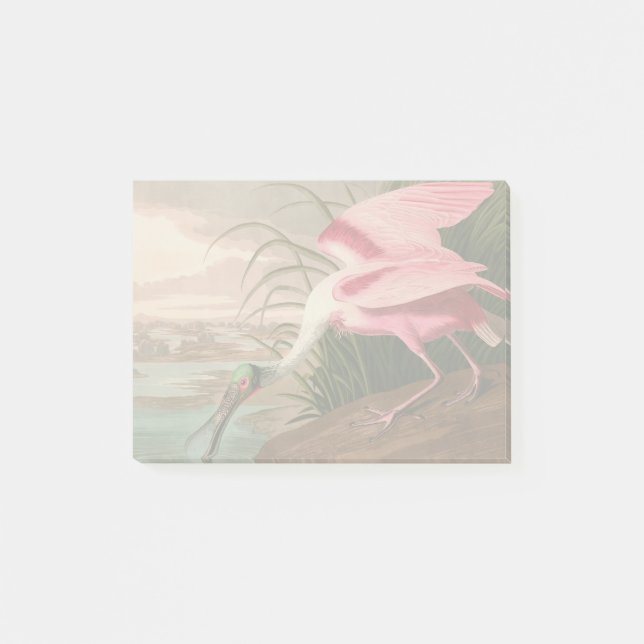 Roseate Spoonbill Audubon Bird Wildlife Post-it Notes (Front)