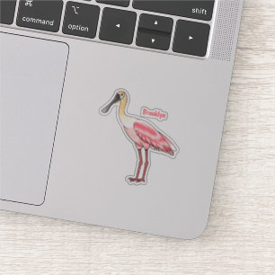 Roseate spoonbill bird cartoon illustration