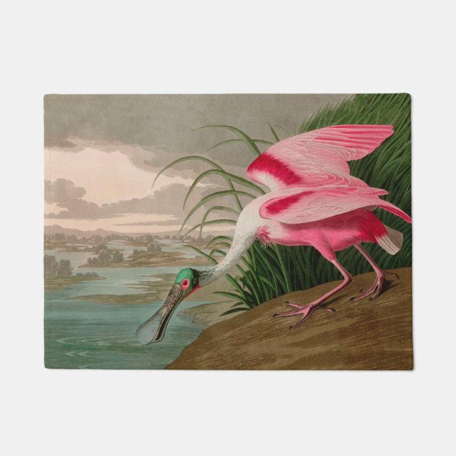 Roseate Spoonbill Birds of America Audubon Print Doormat (Front)