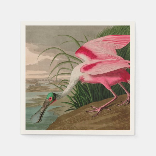 Roseate Spoonbill Birds of America Audubon Print Napkin (Front)