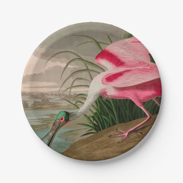 Roseate Spoonbill Birds of America Audubon Print Paper Plate (Front)
