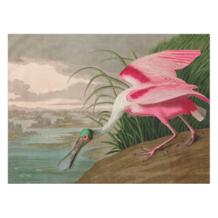 Roseate Spoonbill Birds of America Audubon Print Tablecloth