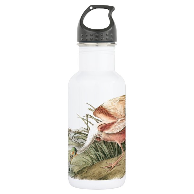 Roseate Spoonbill by Audubon 532 Ml Water Bottle (Front)