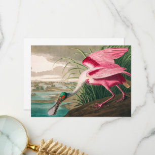 Roseate Spoonbill by John James Audubon Thank You Card