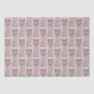 Roseate Spoonbill Chick Tissue Paper