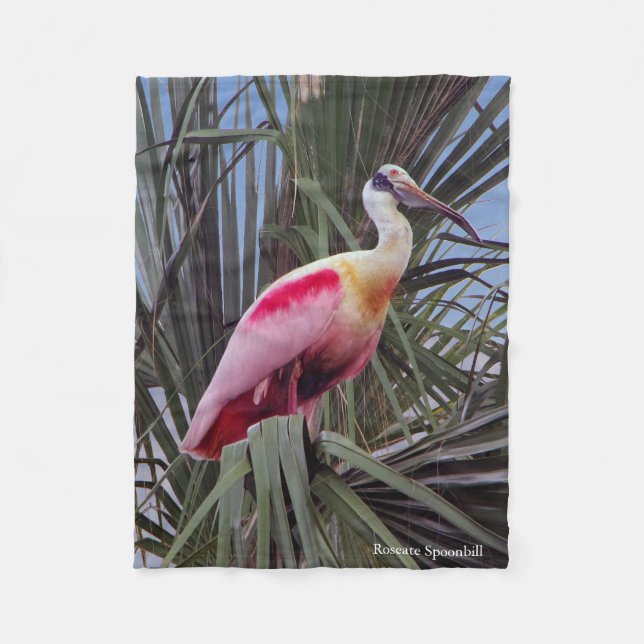 Roseate Spoonbill fleece blanket (Front)