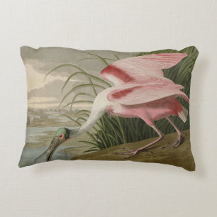 Roseate Spoonbill from Audubon's Birds of America Decorative Cushion