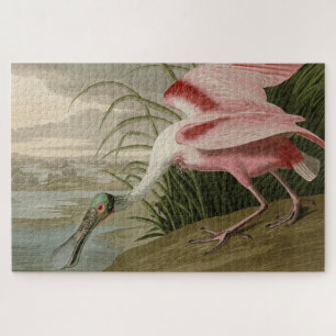 Roseate Spoonbill from Audubon's Birds of America Jigsaw Puzzle