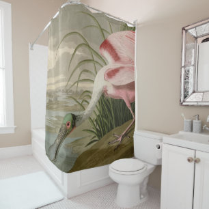 Roseate Spoonbill from Audubon's Birds of America Shower Curtain