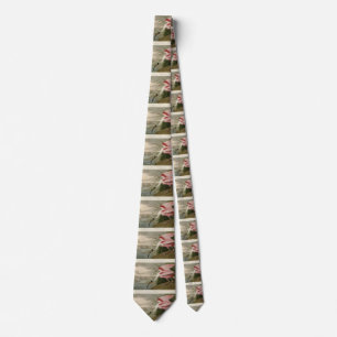 Roseate Spoonbill from Audubon's Birds of America Tie