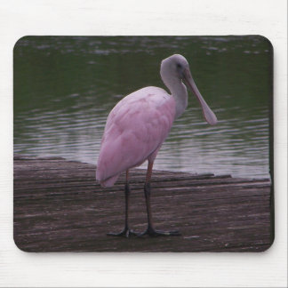 Roseate Spoonbill Mouse Pad