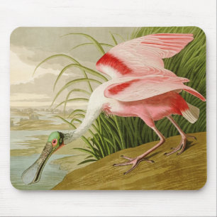 Roseate Spoonbill Mousepad