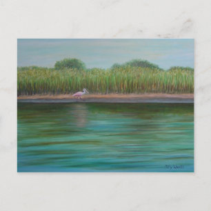 ROSEATE SPOONBILL ON EAST CREEK Postcard