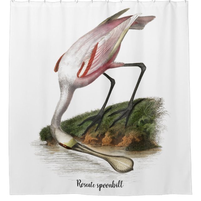 Roseate spoonbill painting  Small Shower Curtain (Front)