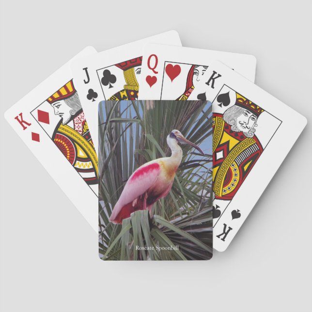 Roseate Spoonbill playing cards (Back)