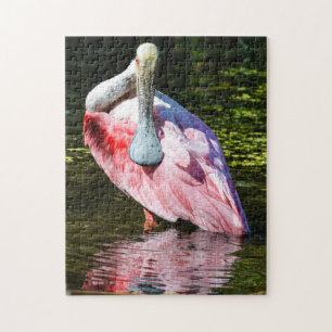Roseate Spoonbill Puzzle