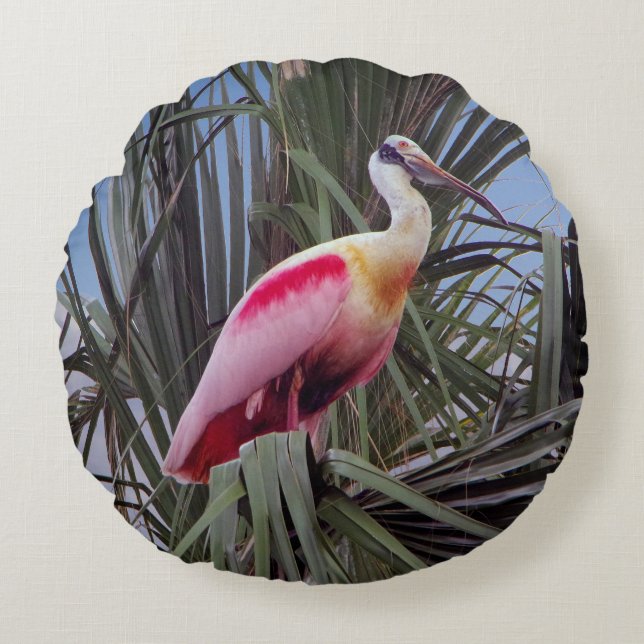 Roseate Spoonbill round pillow (Front)