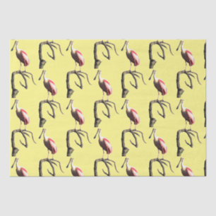 Roseate Spoonbill Tissue Paper