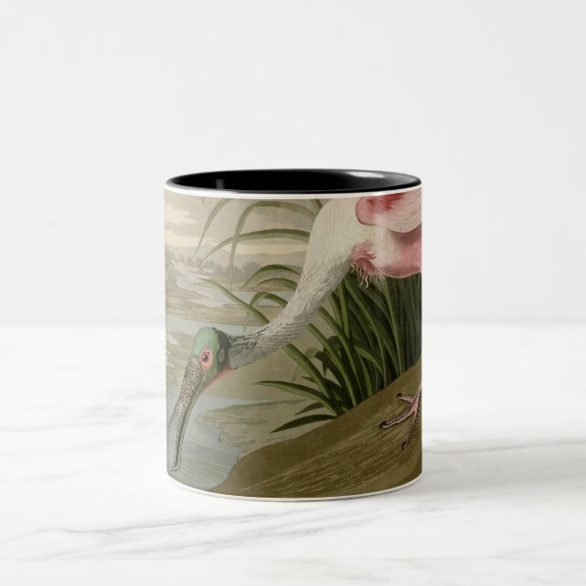 Roseate Spoonbill Two-Tone Coffee Mug (Center)