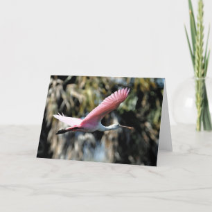 Roseate Spoonbill Watercolor Wash Card