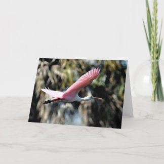 Roseate Spoonbill Watercolor Wash Card
