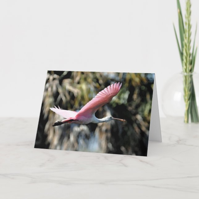 Roseate Spoonbill Watercolor Wash Card (Front)