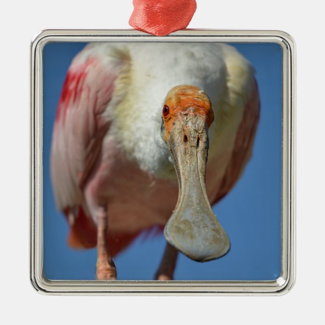 Roseate Spoonbill with its big beak Metal Ornament (Front)