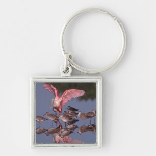 Roseate Spoonbill with Willets in shallow water Key Ring