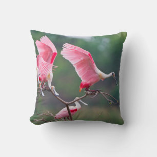 Roseate Spoonbills (Ajaia Ajaja) Landing Cushion