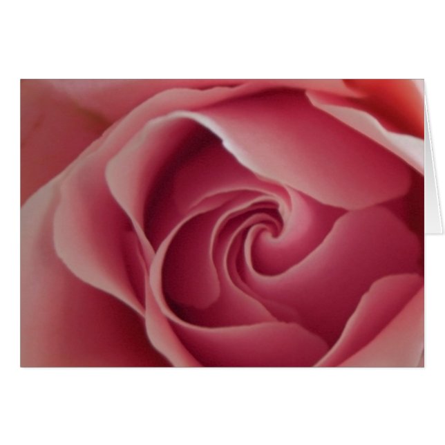 Rosebud (Front Horizontal)