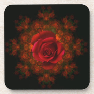 Rosebud Coaster