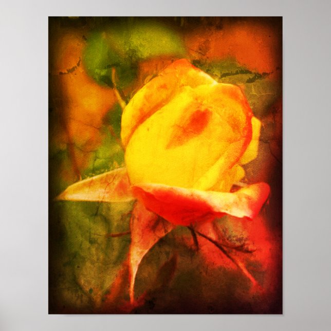 Rosebud Floral Art Photo Painting Distressed Poster (Front)