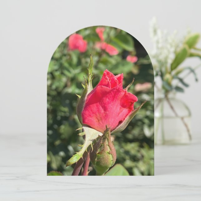 Rosebud garden arch, flat card (Standing Front)