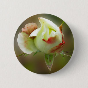 rosebud glowing 6 cm round badge