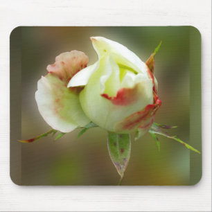 rosebud glowing mouse pad