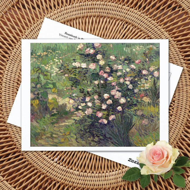 Rosebush in Blossom Vincent van Gogh Postcard (Creator Uploaded)