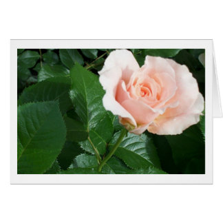 RoseCard