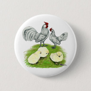 Rosecomb Bantams and Chicks 6 Cm Round Badge